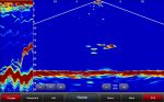 Garmin Panoptix PS31