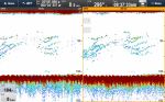 Raymarine CP570