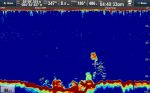 Raymarine CP570